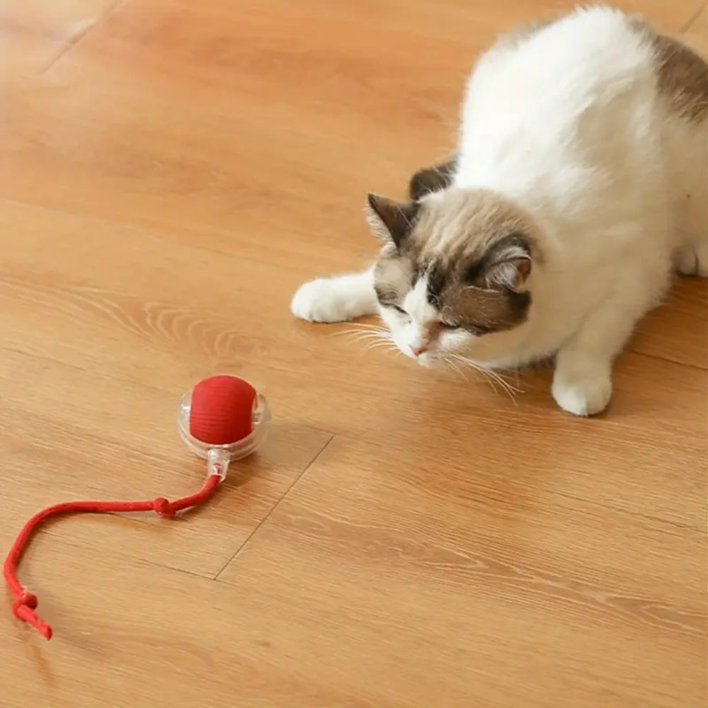 Toy Dog Cat Interactive Rechargeable Rolling Ball With Faux Tail