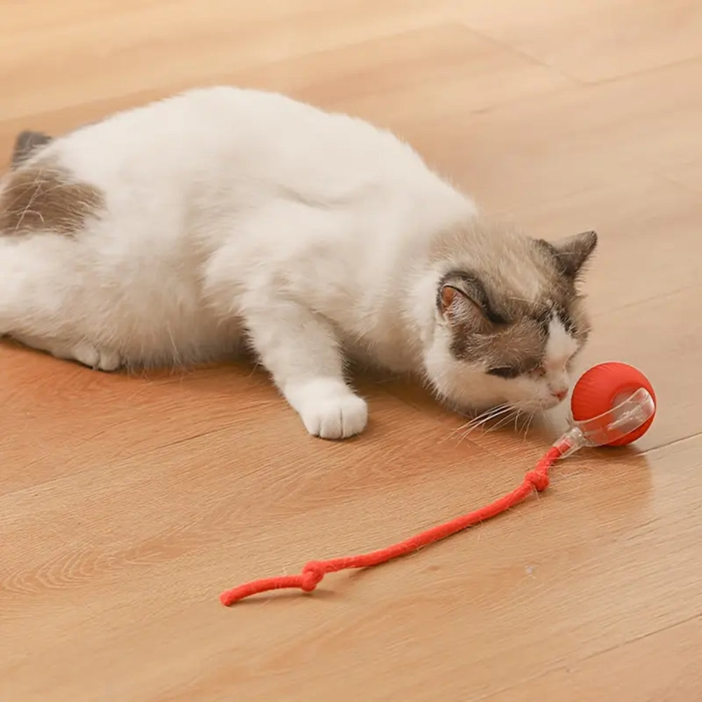 Toy Dog Cat Interactive Rechargeable Rolling Ball With Faux Tail