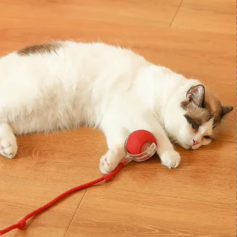 Toy Dog Cat Interactive Rechargeable Rolling Ball With Faux Tail