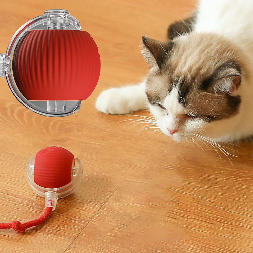 Toy Dog Cat Interactive Rechargeable Rolling Ball With Faux Tail