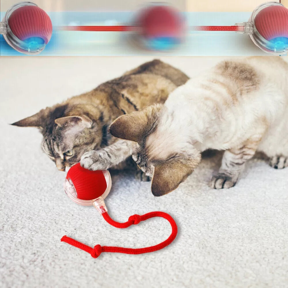 Toy Dog Cat Interactive Rechargeable Rolling Ball With Faux Tail