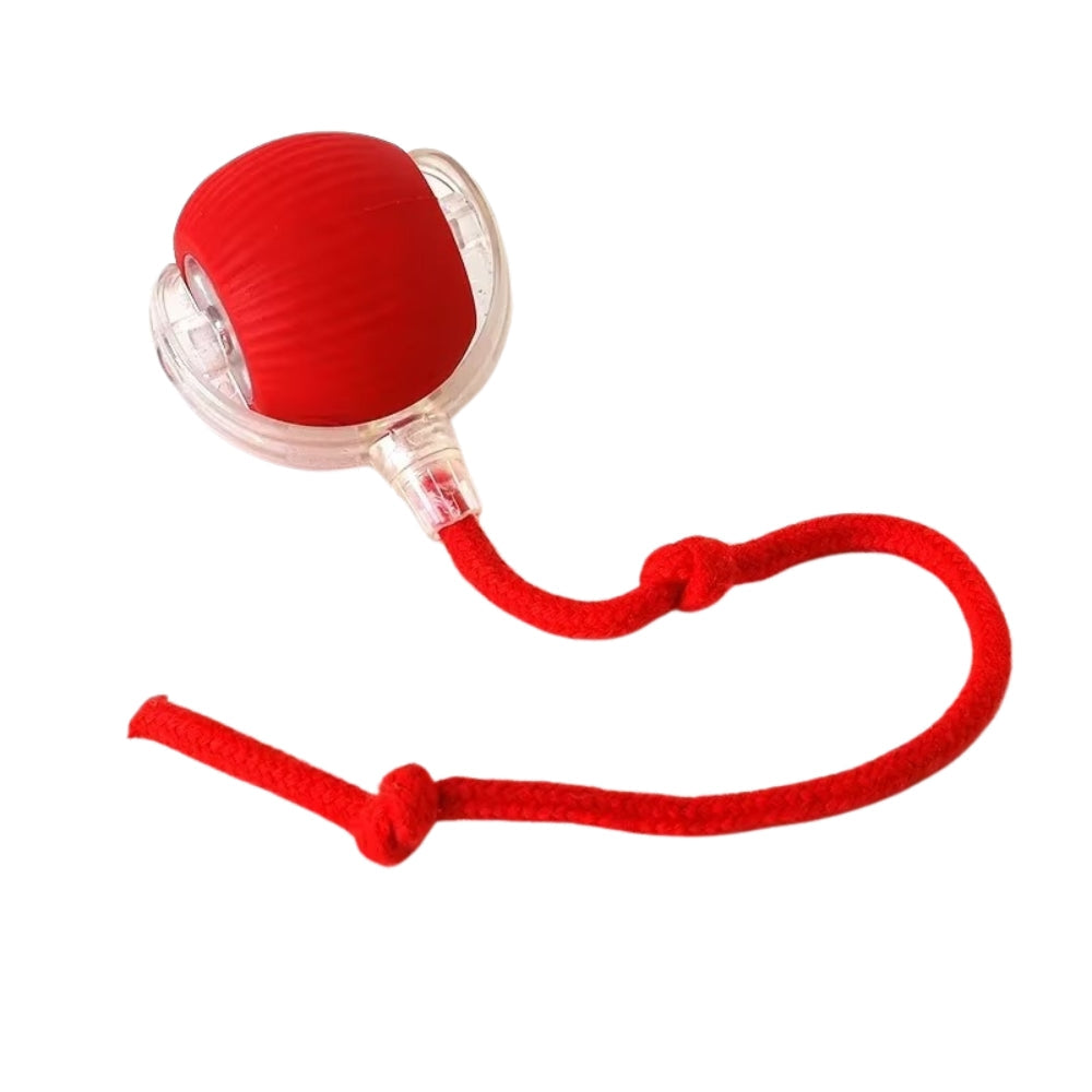 Toy Dog Cat Interactive Rechargeable Rolling Ball With Faux Tail