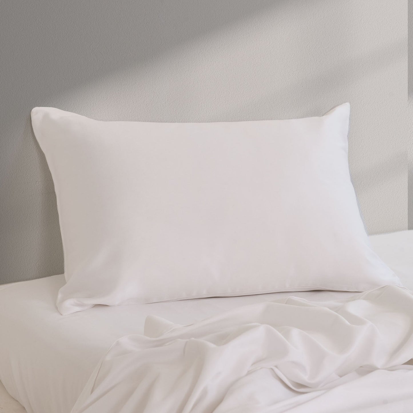 Pure Silk Pillow Case By Royal Comfort-White