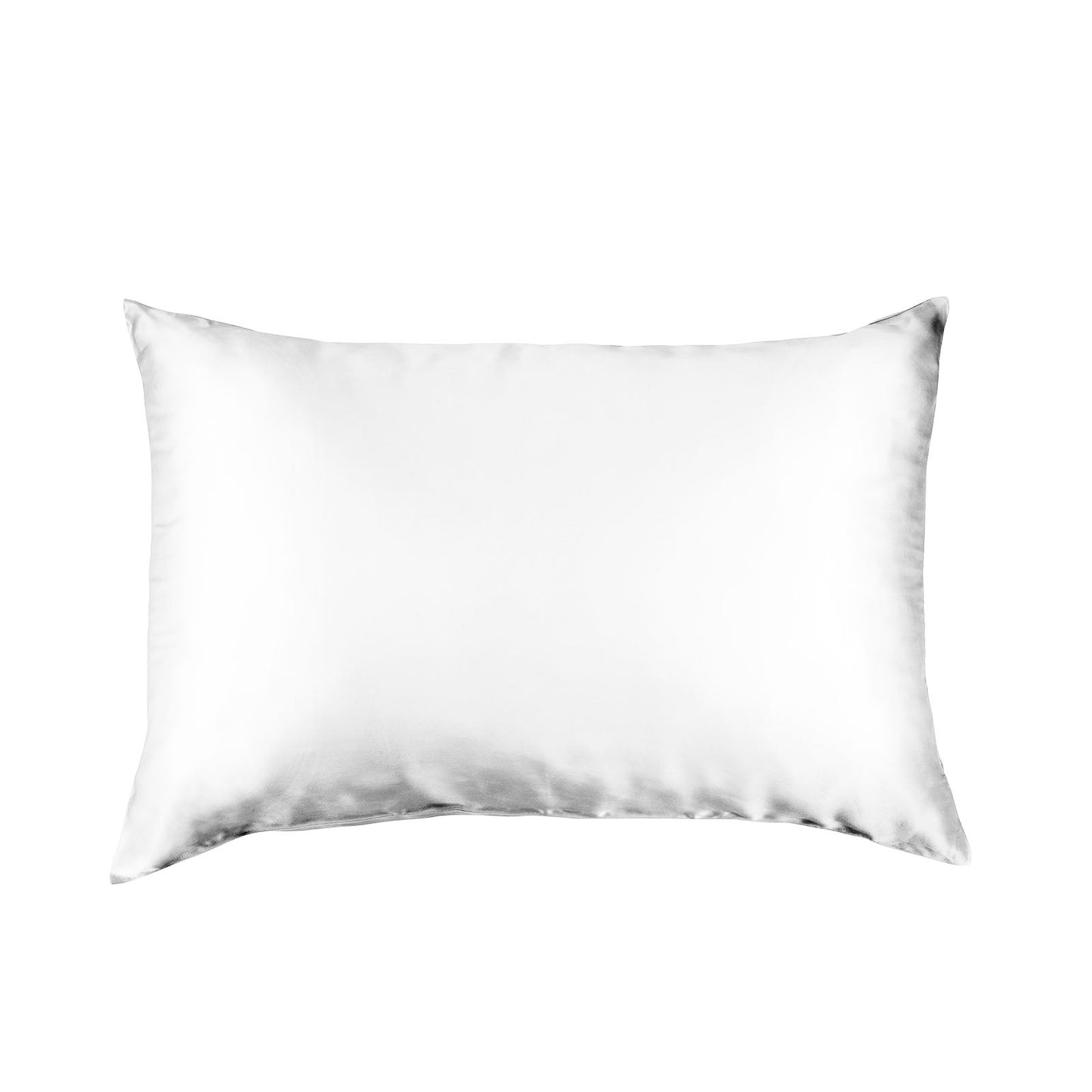 Pure Silk Pillow Case By Royal Comfort-White