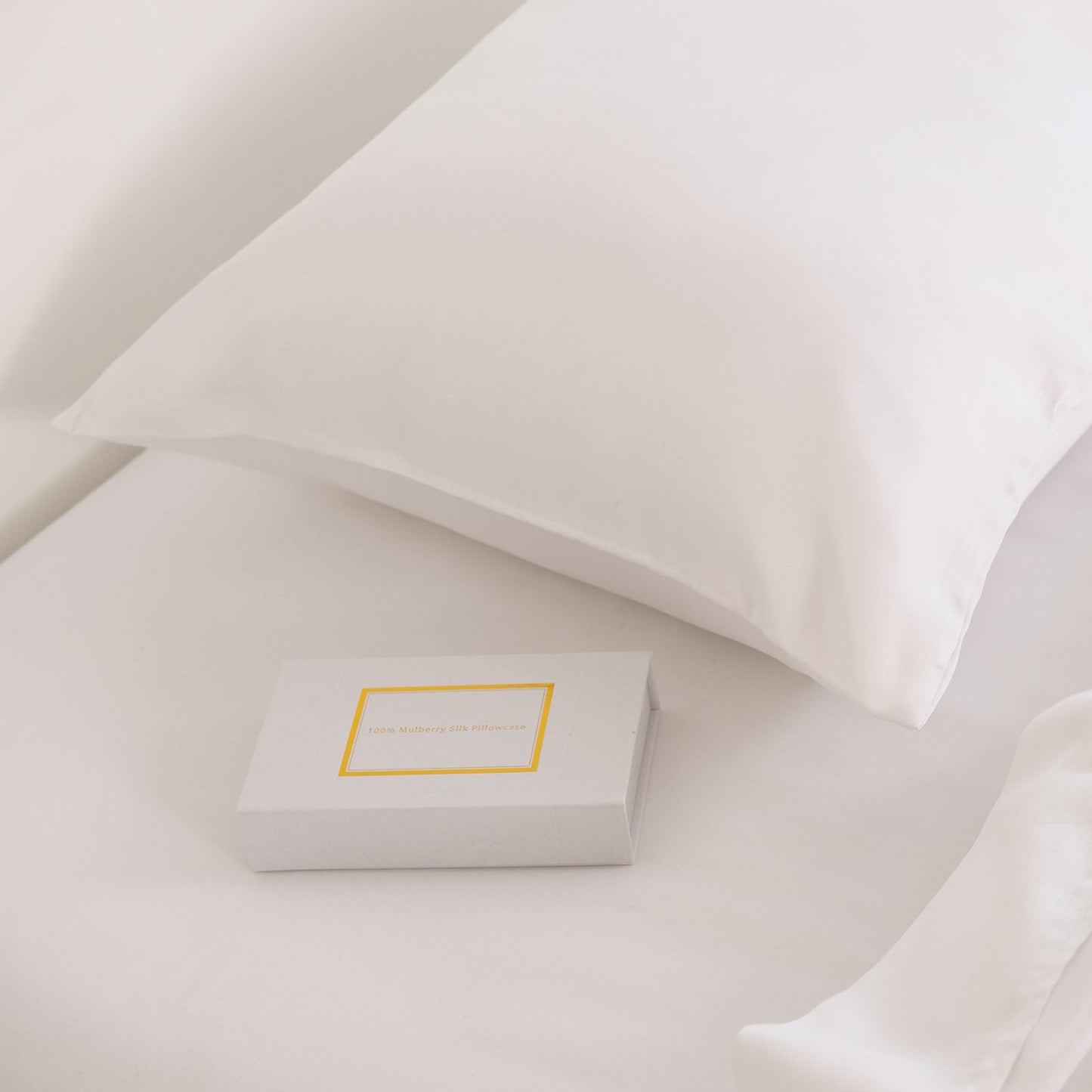 Pure Silk Pillow Case By Royal Comfort-White