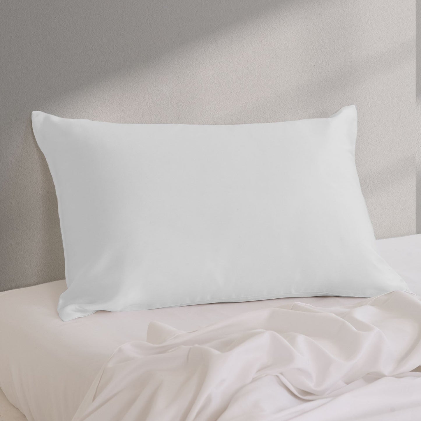 Pure Silk Pillow Case By Royal Comfort Silver