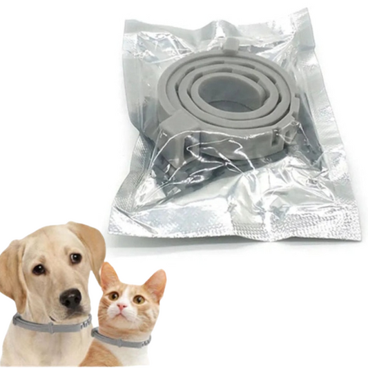 New Pet Dog Cat Collars Veterinary Anti Flea Tick For Cats Dogs