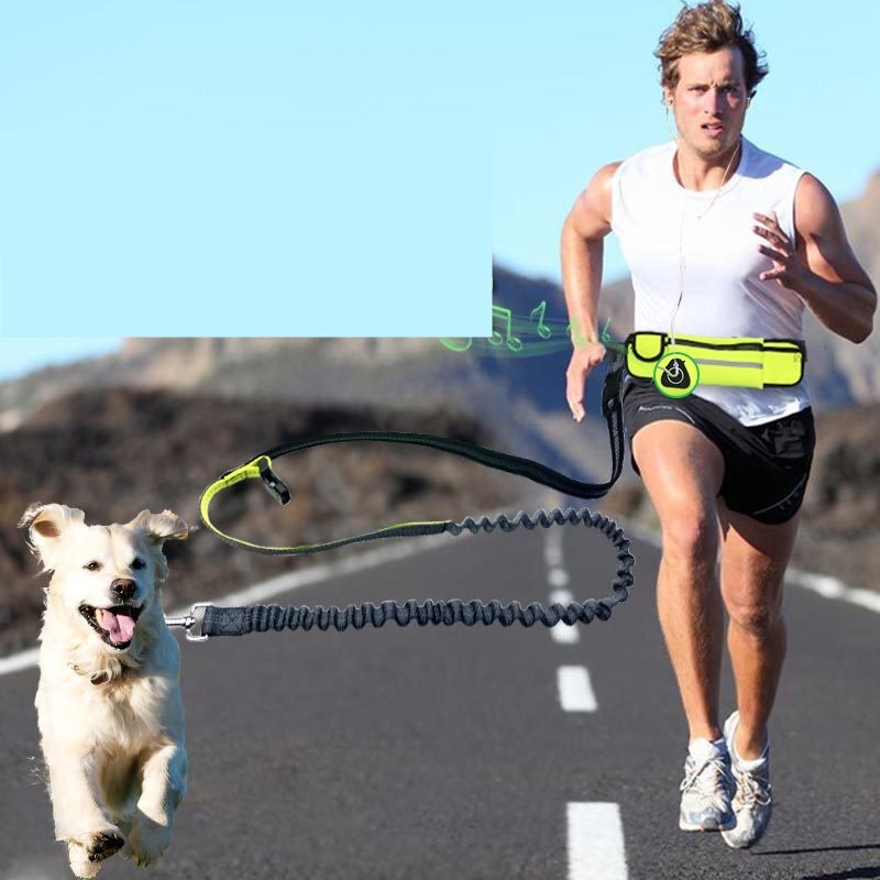 Shock Absorbing Hands Free Dog Running Leash With Waist Pocket