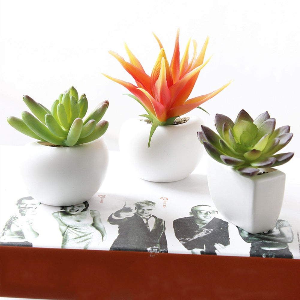 Cute Mini Succulent Plant Fridge Magnets