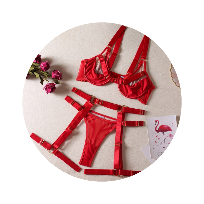 Sexy Strappy Fetish Lingerie Bra Garter Underwear Women