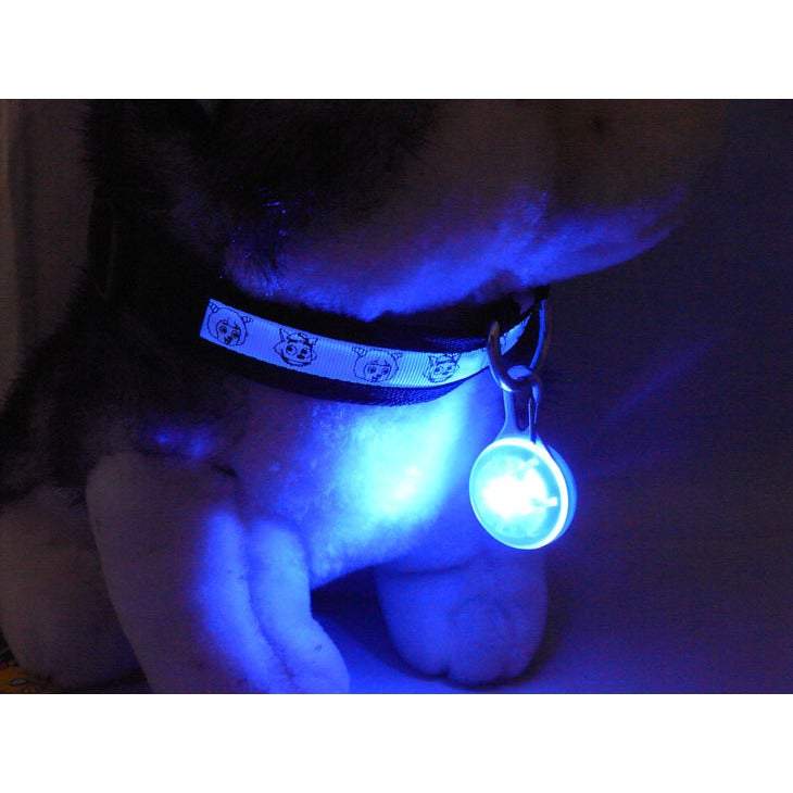 Pet Travel Access 2Pack Colourful Clip On Safety Night Light Collar Keychain Led Waterproof Walking Lights For Dogs And
