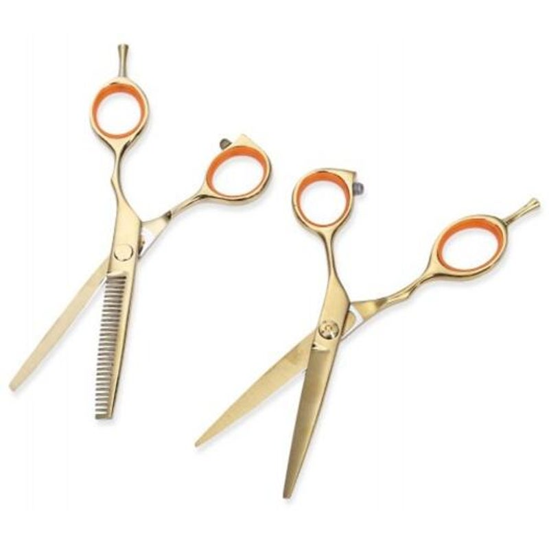 2Pcs 5.5 Inch 440C Titanium Hairdressing Scissors Shears Kit Barber Thinning Cutting Set Golden