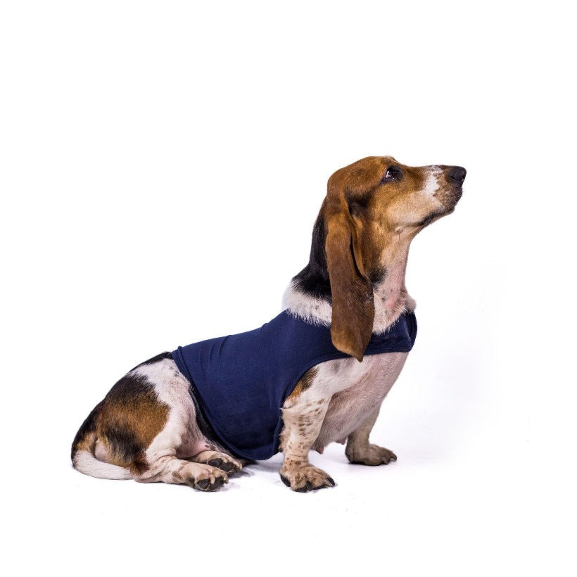 Dog Anti Anxiety Comfort Jacket