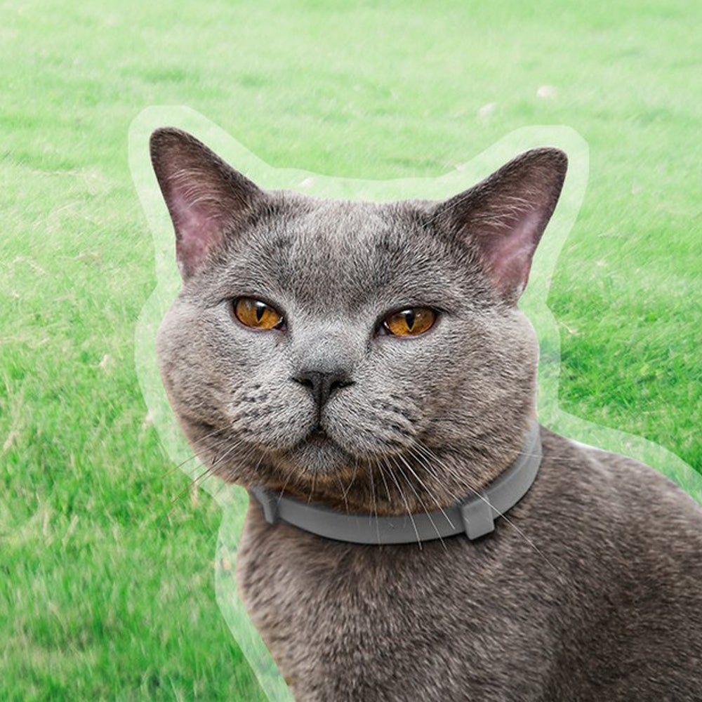 38Cm Design Flea Collar For Pets Veterinarians Preventive Collars