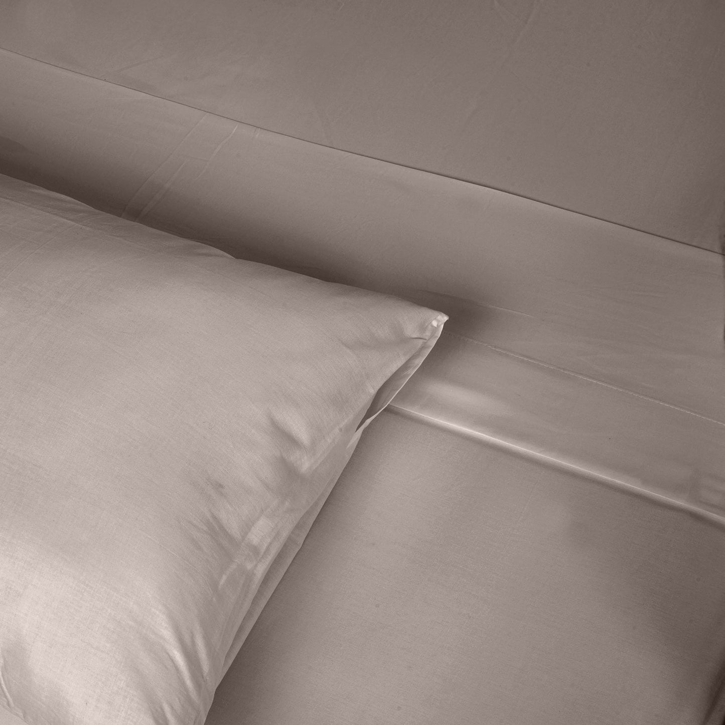 Renee Taylor 1500 Thread Count Cotton Blend Sheet Set King Stone