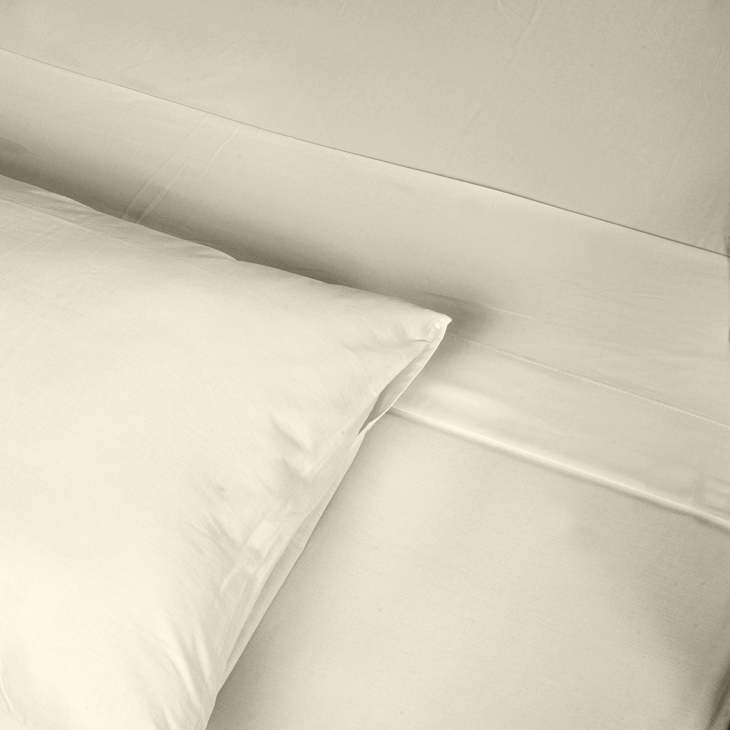 Renee Taylor 1500 Thread Count Cotton Blend Sheet Sets King Ivory