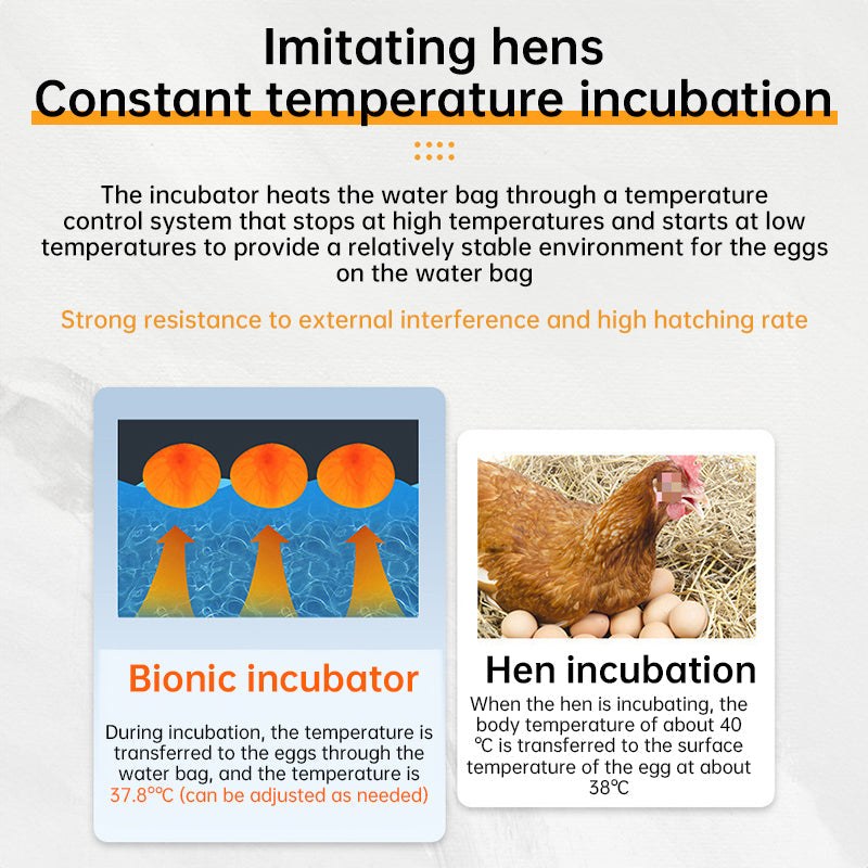 24 Hr Thermostatic Small Poultry Incubator. Biomimetic Waterbed. Auto & Smart. For Chick Duck Goose Eggs