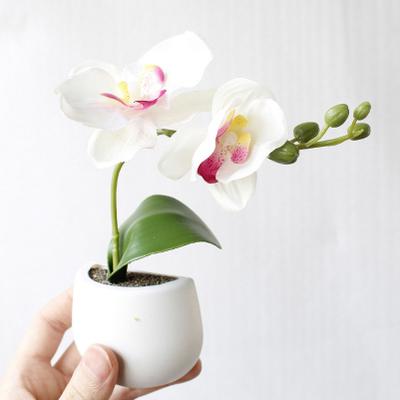 Cute Plant Fridge Magnets Succulent Cactus Orchid Refridgerator Decorations