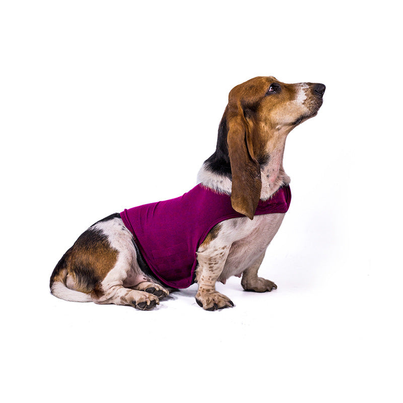 Dog Anti Anxiety Comfort Jacket
