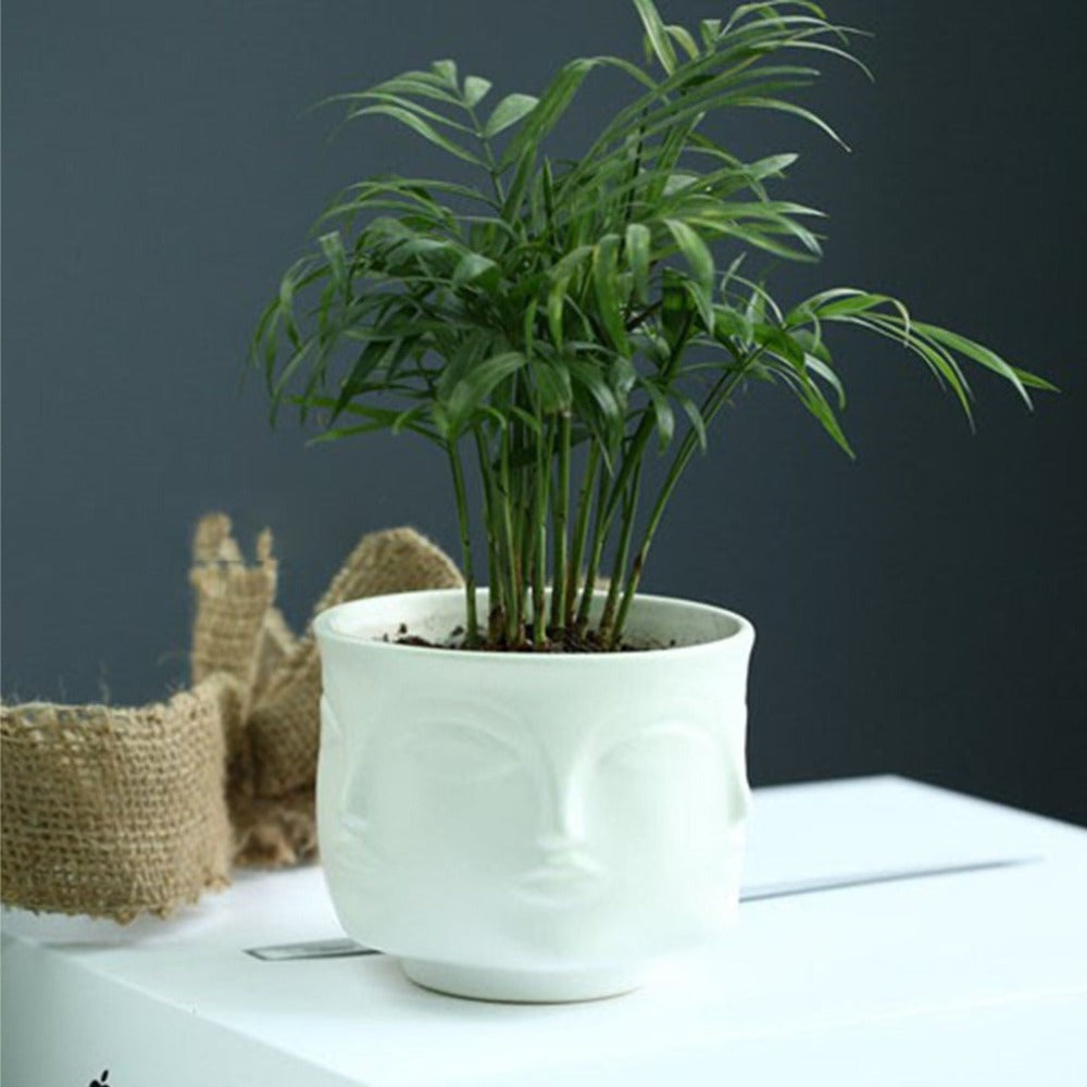 Artistic Human Face Pattern Home Decoration Plants Flower Pot Container Planter-Golden