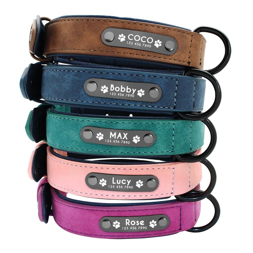Vibrant Colours Personalized Dog Collars Leashes