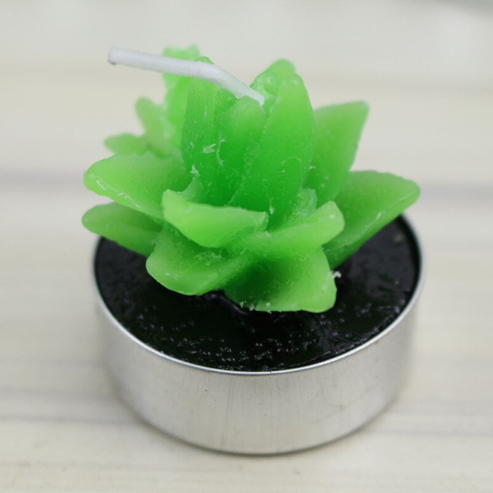 6Pcs/Set Artificial Cactus Succulent Plant Green Mini Candles Dcor