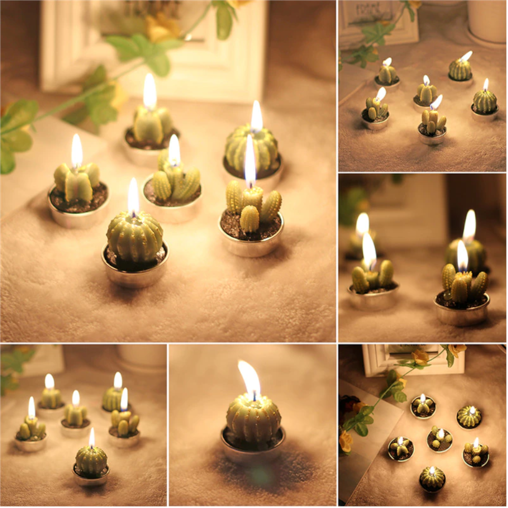 6Pcs/Set Artificial Cactus Succulent Plant Green Mini Candles Dcor