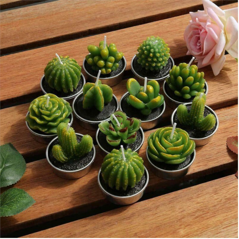 6Pcs/Set Artificial Cactus Succulent Plant Green Mini Candles Dcor