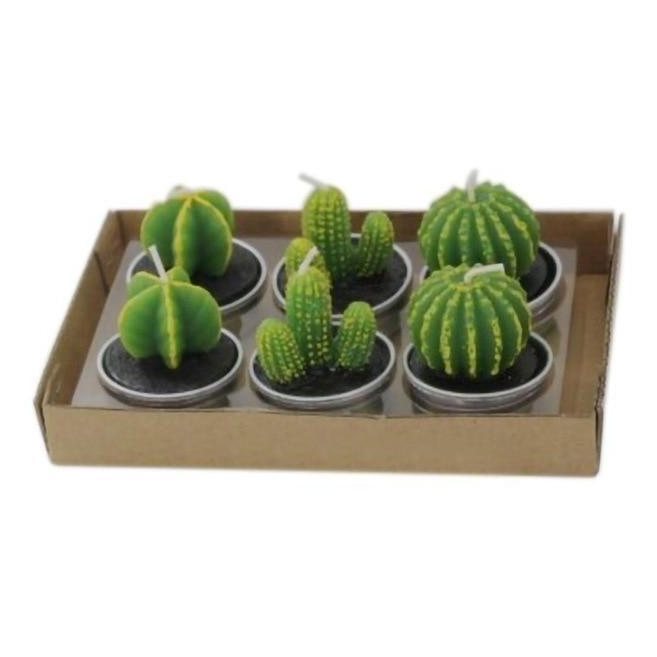 6Pcs/Set Artificial Cactus Succulent Plant Green Mini Candles Dcor
