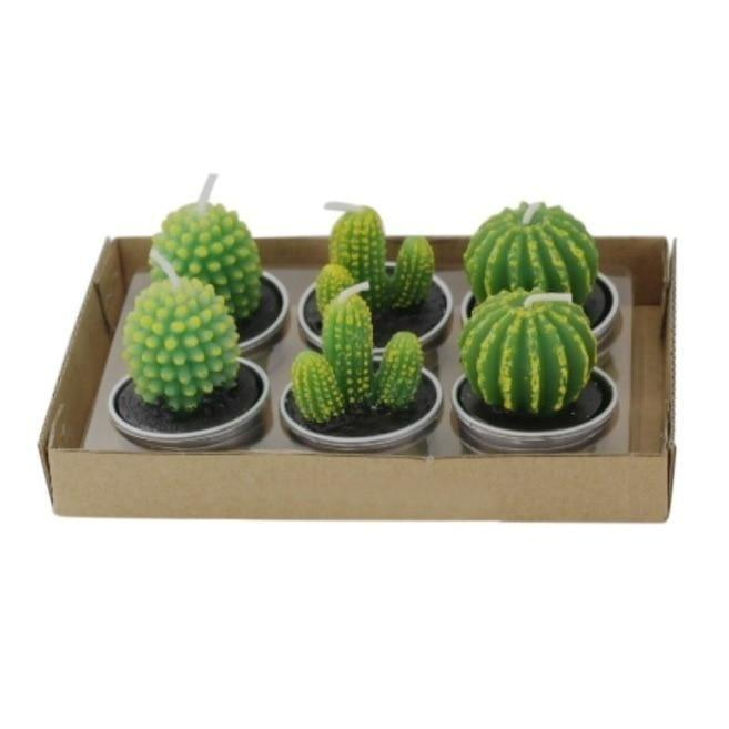 6Pcs/Set Artificial Cactus Succulent Plant Green Mini Candles Dcor