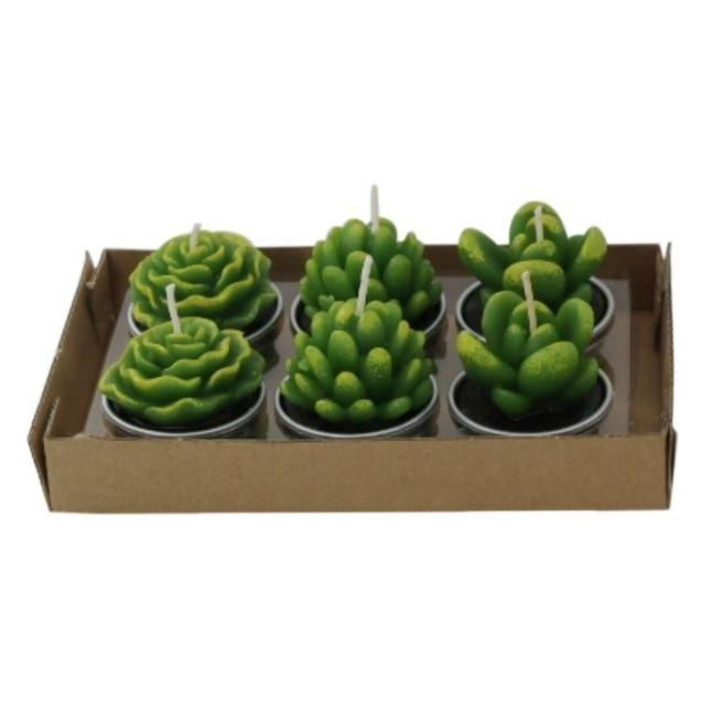 6Pcs/Set Artificial Cactus Succulent Plant Green Mini Candles Dcor