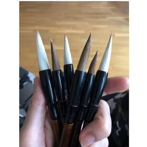 6Pcs White Woolen Brush / Brown Weasel Hair Chinese Japanese Calligraphy Pen Set