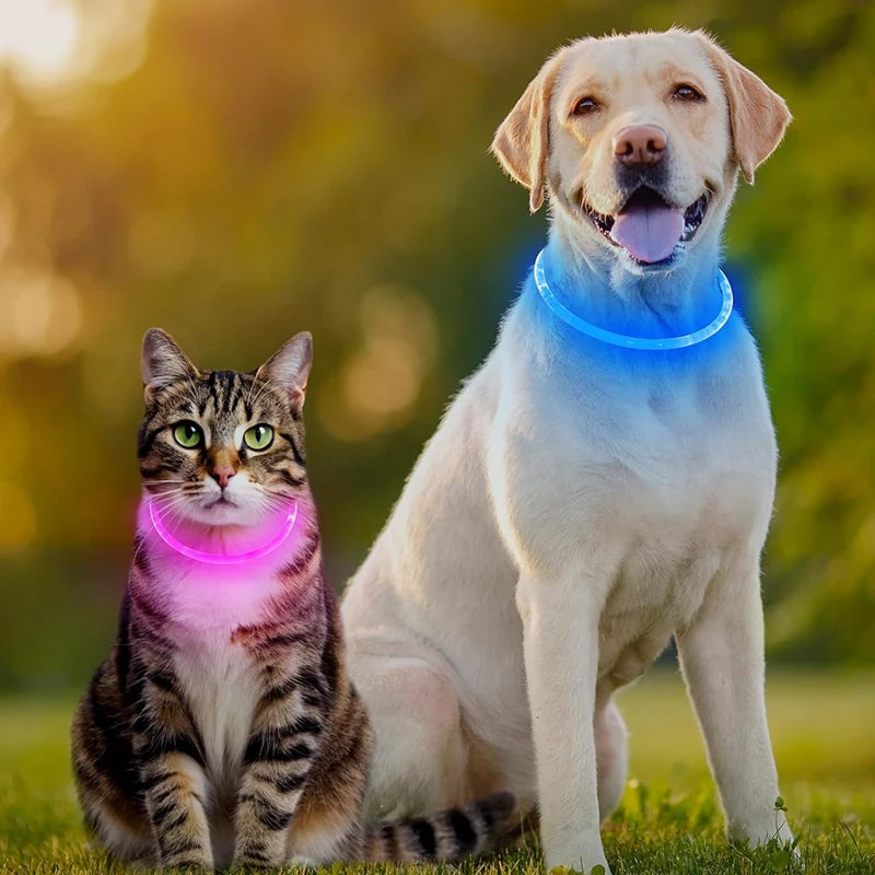3 Mode Led Dog Collar Usb Rechargeable Detachable & Glowing Pet Safety Necklace For Night
