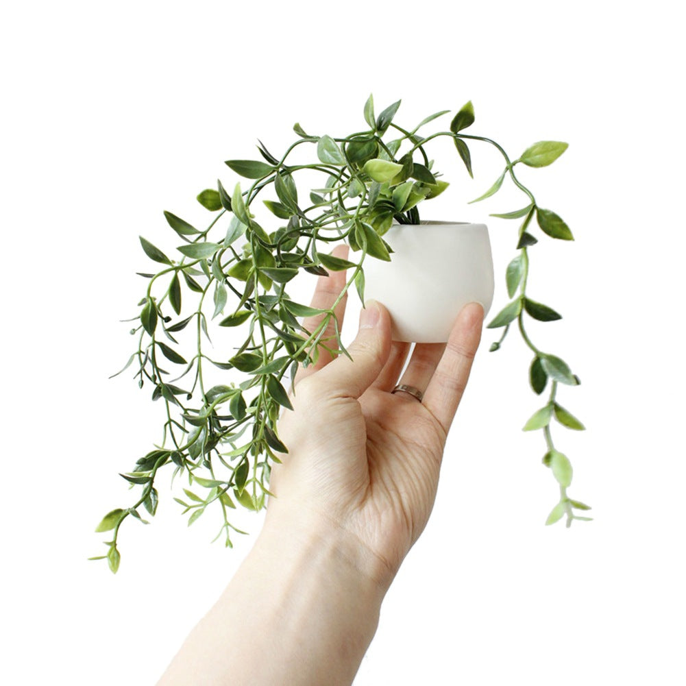 Cute Mini Succulent Plant Fridge Magnets