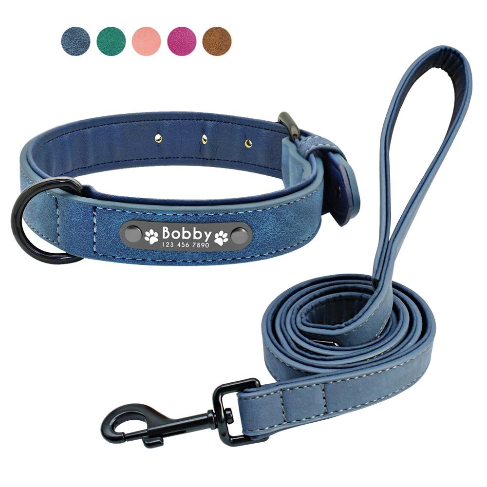 Vibrant Colours Personalized Dog Collars Leashes