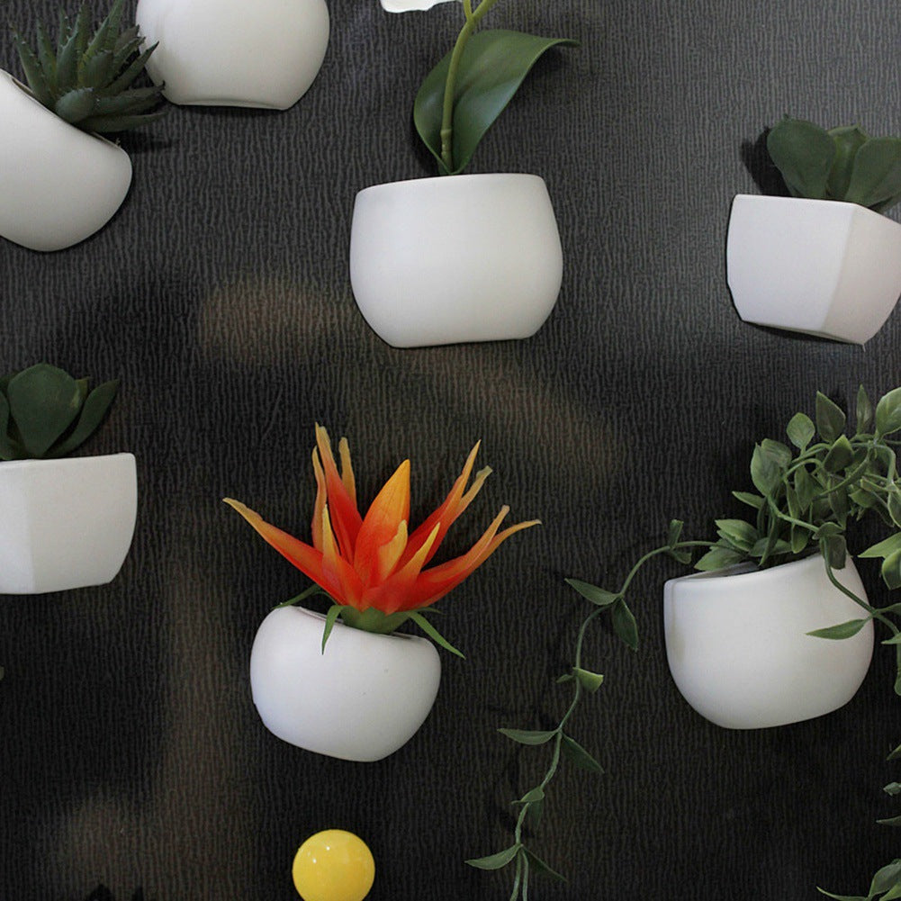 Cute Mini Succulent Plant Fridge Magnets