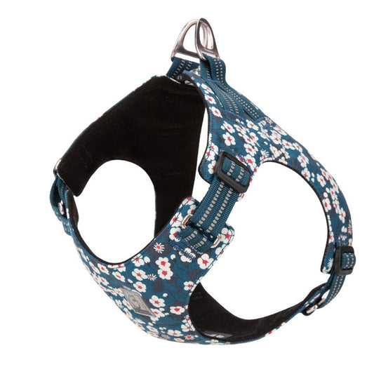 True Love Floral Doggy Harness - Blue Xl