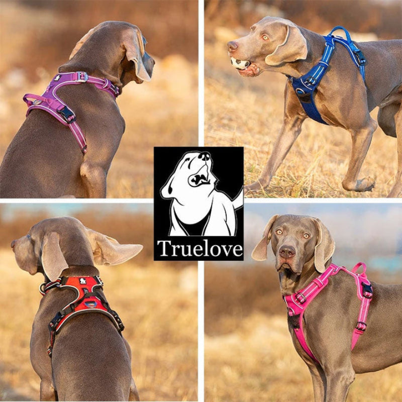 True Love No Pull Explosion Proof Dog Harness Black Xs