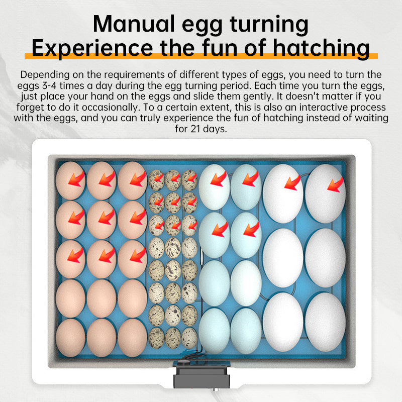 24 Hr Thermostatic Small Poultry Incubator. Biomimetic Waterbed. Auto & Smart. For Chick Duck Goose Eggs