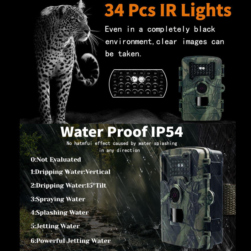 Two Lcd Infrared Night Vision Trail Camera For Wildlife Observation