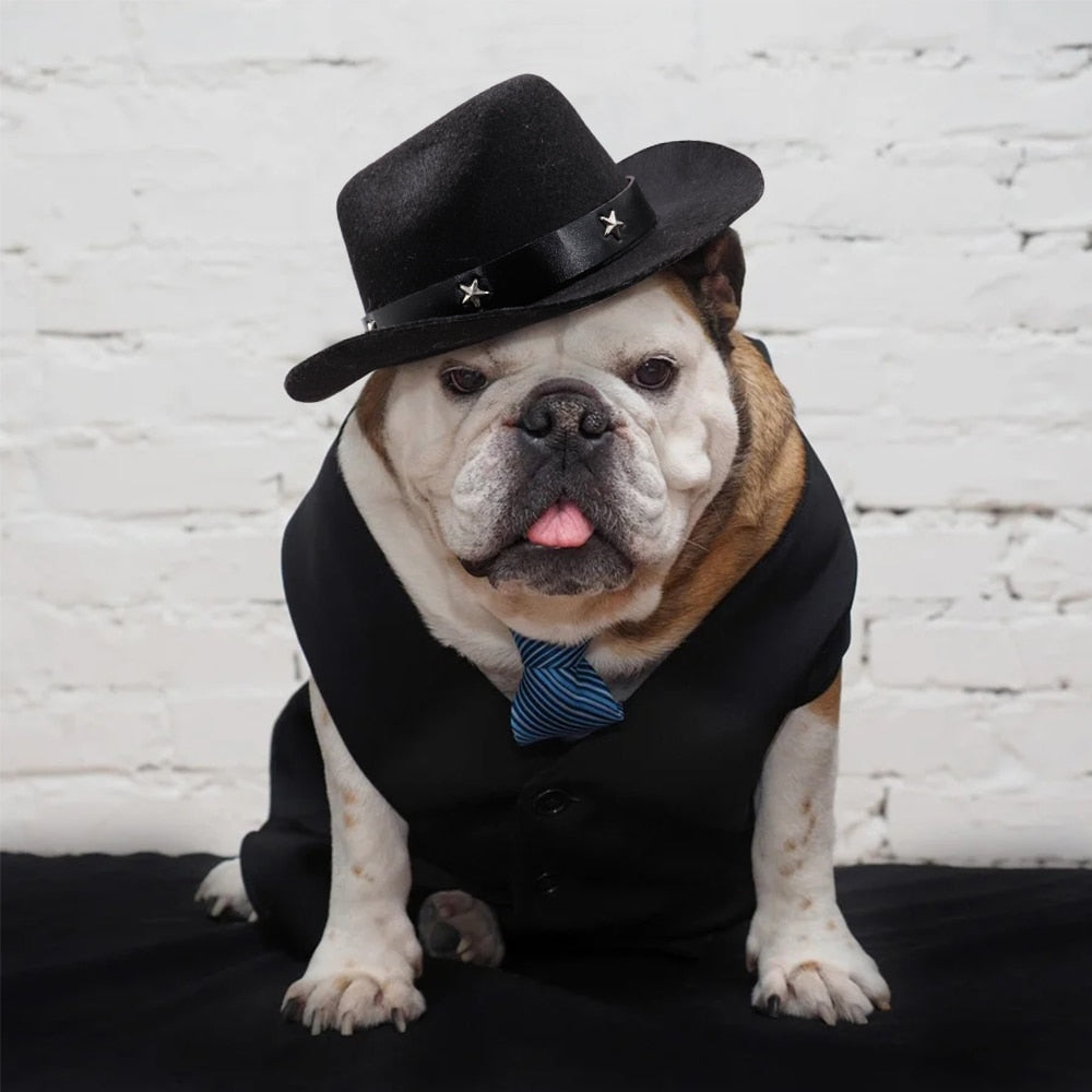 Small Medium Dogs Cute Cowboy Pet Hat