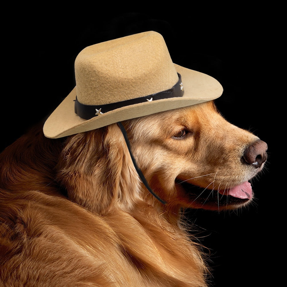 Small Medium Dogs Cute Cowboy Pet Hat