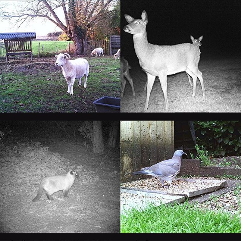 Eight Megapixel Waterproof Trail Camera With Night Vision And Wide Angle Display