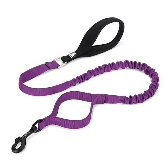 True Love Military Dog Leash 2.5 Cm Width And 1.4 Length Purple