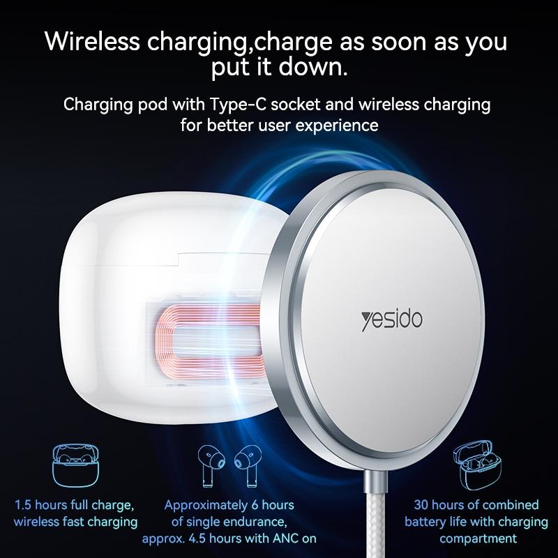 Smart Dual Noise Reduction True Wireless Stereo Earphones With Active Control