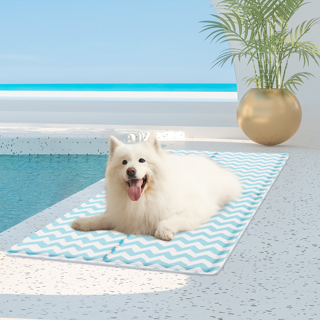 Pawz Pet Cooling Mat Xl Blue