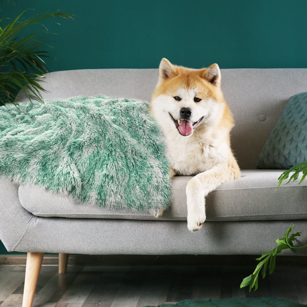 Pawz Dog Blanket Pet Cat Mat Puppy Warm Teal