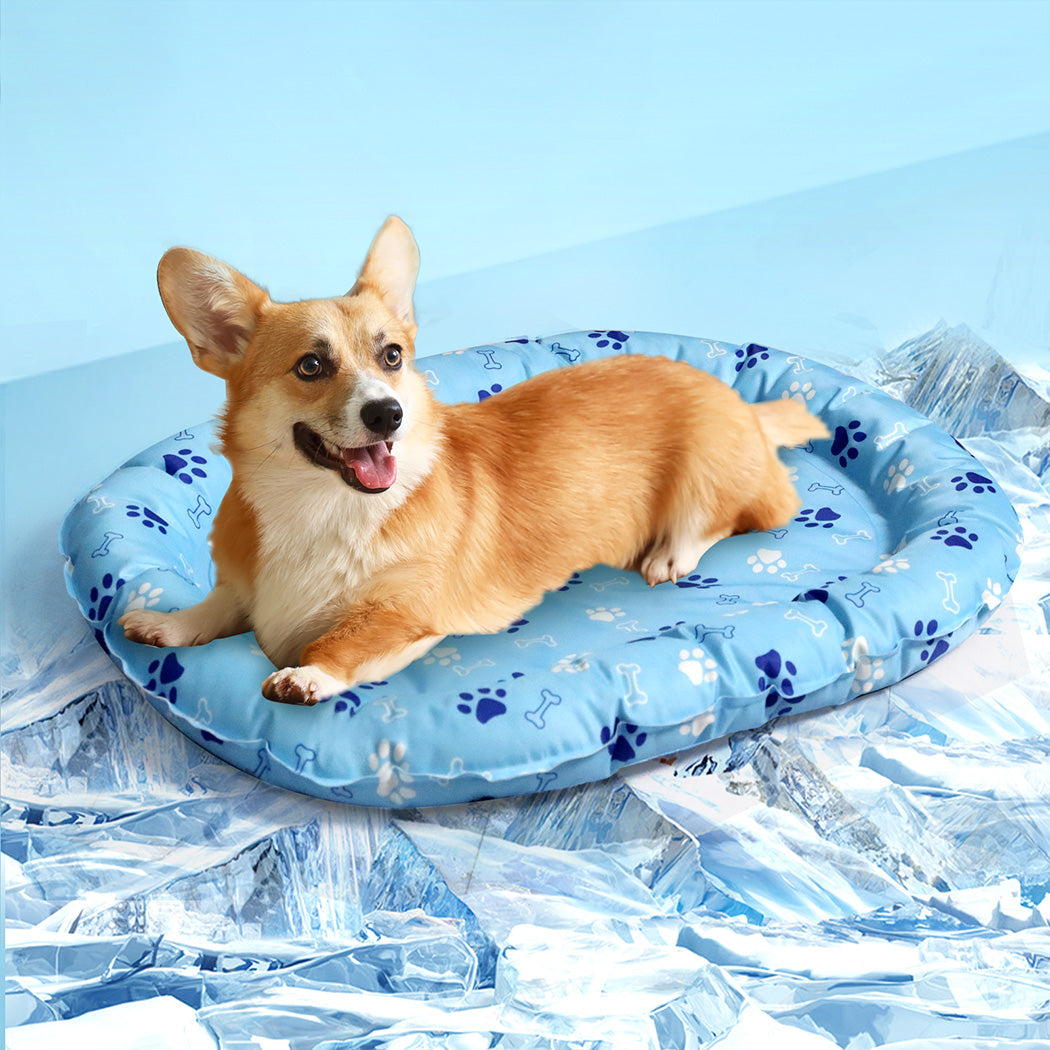 Pawz Pet Cooling Mat Blue