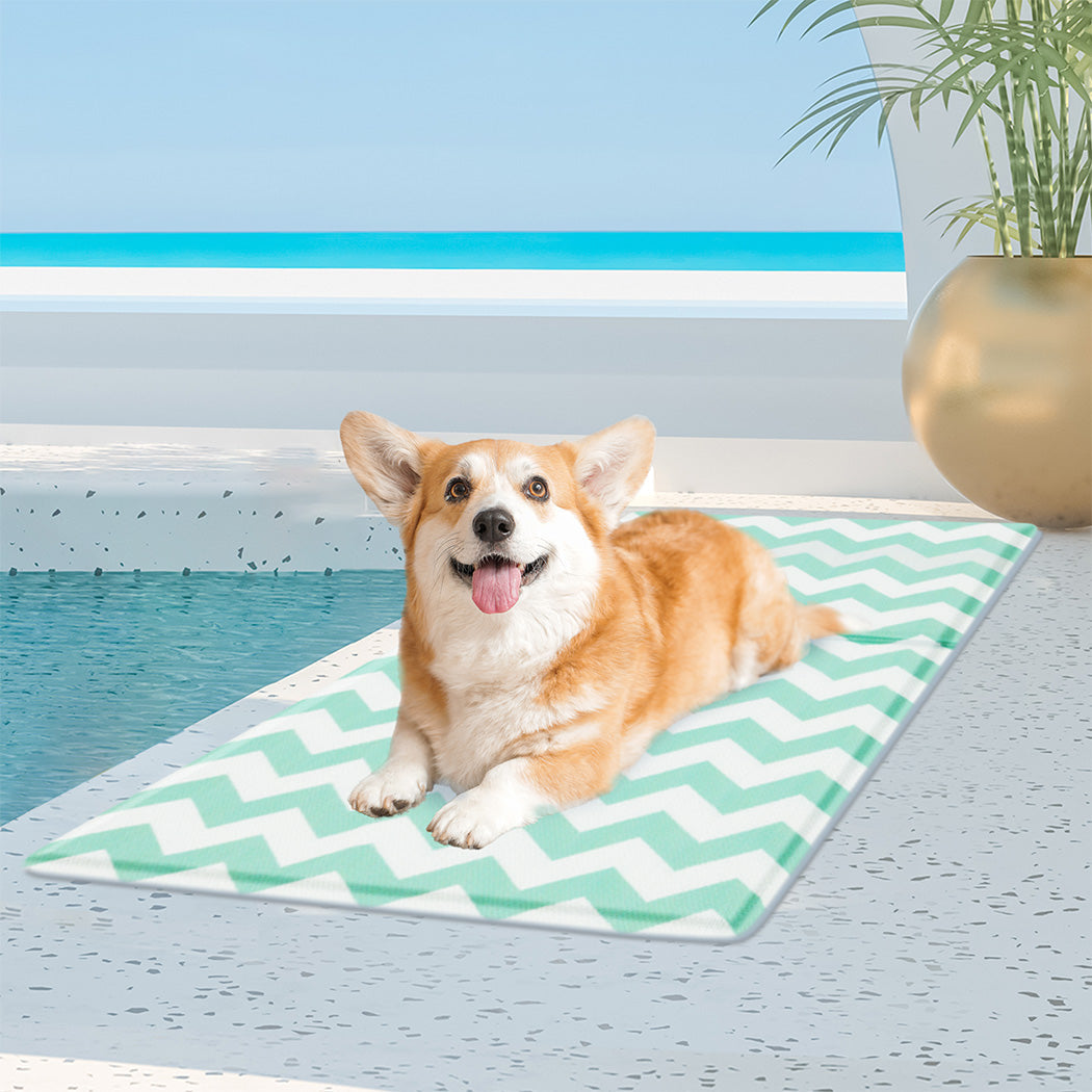 Pawz Pet Cooling Mat Green