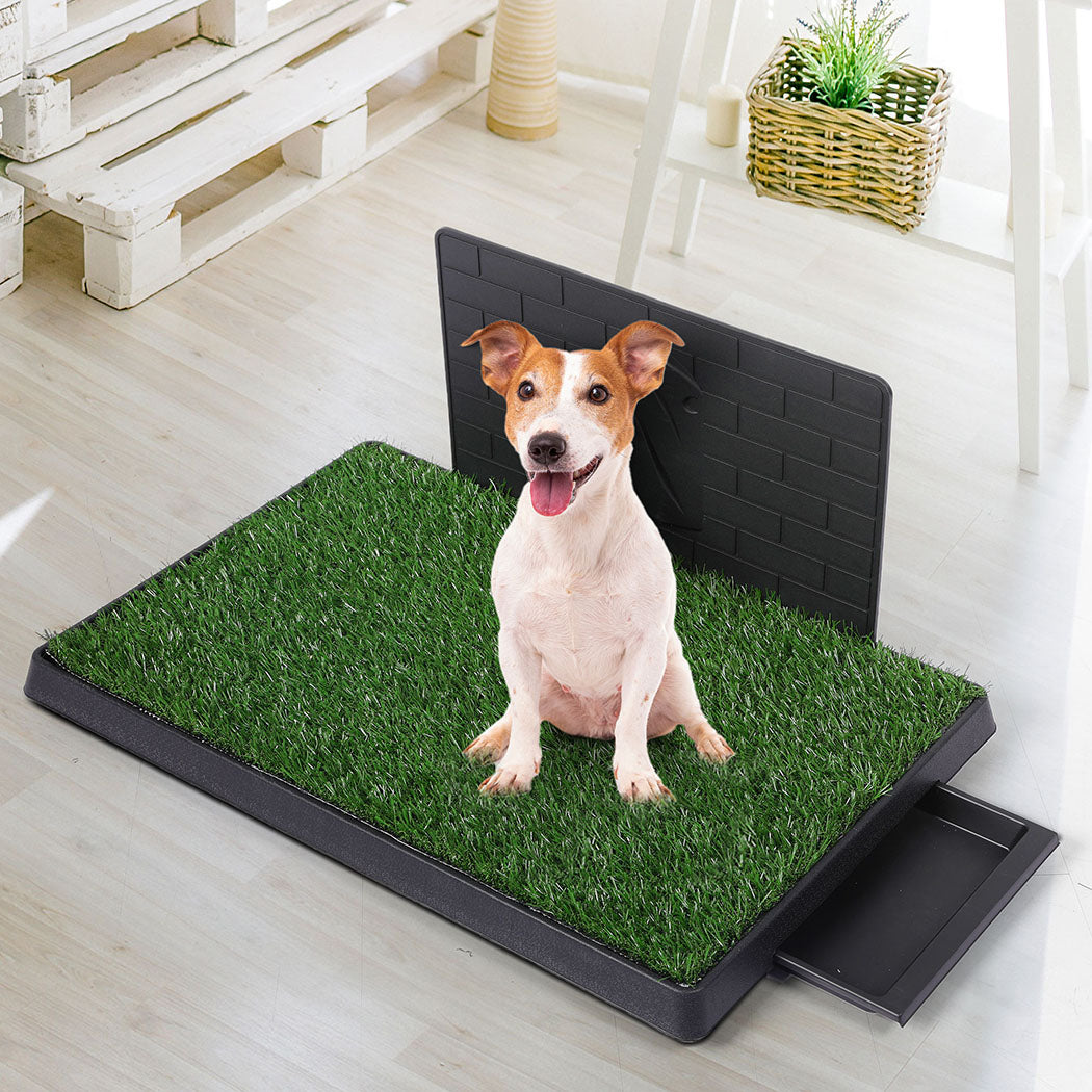 Pawz Indoor Dog Pet Grass Potty Training L Convenient And Clean Solution For